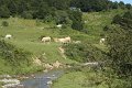 (84) Au plateau de Sanchèse